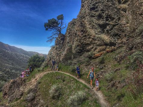 Run-Hike-Play: Hiking Mt. Diablo Falls Trail Loop with the Fam