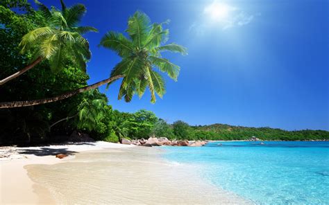 Tropical beach wallpaper | 2560x1600 | #32294