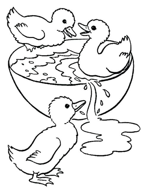 Duck Coloring Pages - Best Coloring Pages For Kids