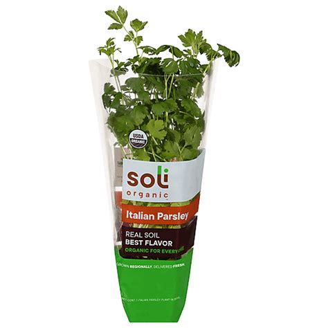 Soli Organic Italian Parsley 1 ea | Shop | Donelan's Supermarkets