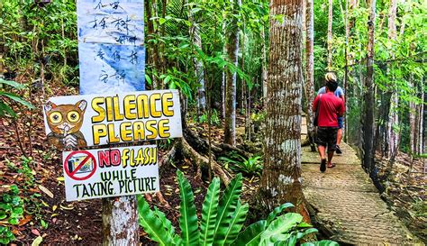 Experience Bohol: Tarsier Conservation Area | Miked's Travel PH