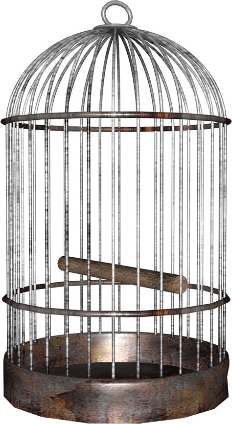 Cage bird PNG images free download