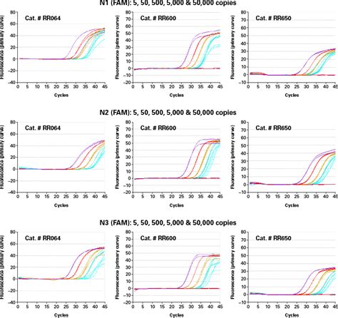 Powerful, versatile SARS-CoV-2 detection