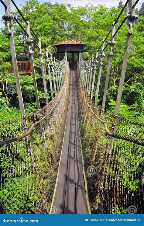 Hanging Bridge stock image. Image of hike, adventure - 16969361