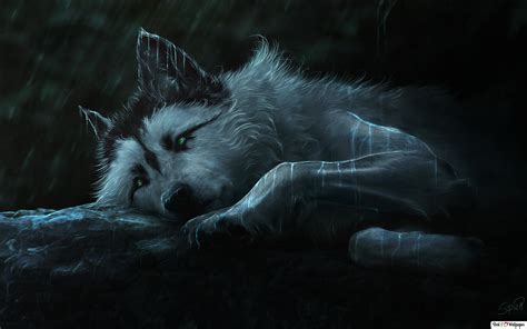 Painting of a Wolf 4K wallpaper download