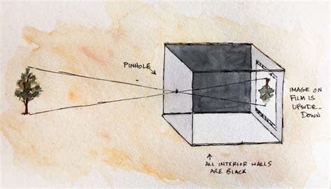 My kids know what a pinhole camera is! » Pamela Anticole, Pittsburgh Photographer