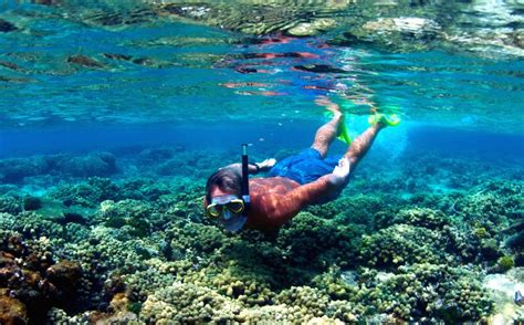 3-Stop Coral Reef Snorkel Trips in Grand Cayman - Ocean Frontiers