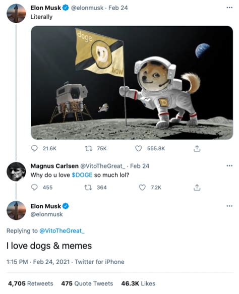 Elon Musk Hopes SEC Will Investigate Him over Dogecoin Tweets: 'It ...