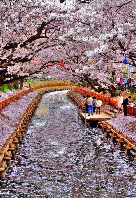 Top 10 Places To Visit In Japan