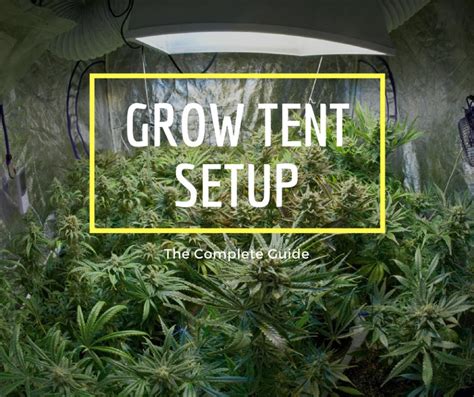 Grow Tent Setup - The Complete Guide (How To Setup Properly)