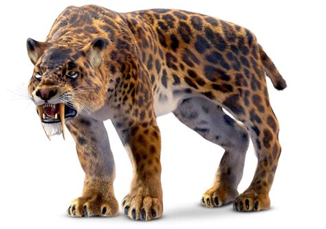 Opiniones de Smilodon