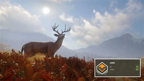 How to get Diamond in theHunter Call of the Wild - Gamer Journalist