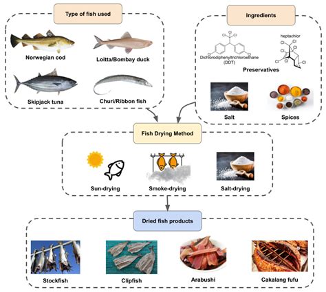 Foods | Free Full-Text | A Comprehensive Review on the Processing of ...