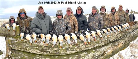 Greenland King Eider hunting | Alaska Duck Hunting King Eider Hunting