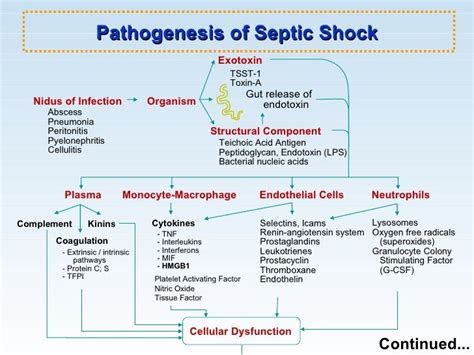 Sepsis And Septic Shock | Septic shock, Sepsis, Sepsis pathophysiology