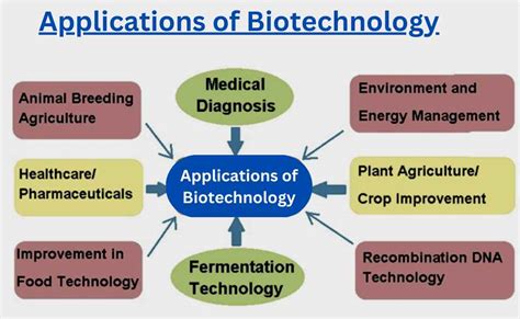 Real World Applications of Biotechnology