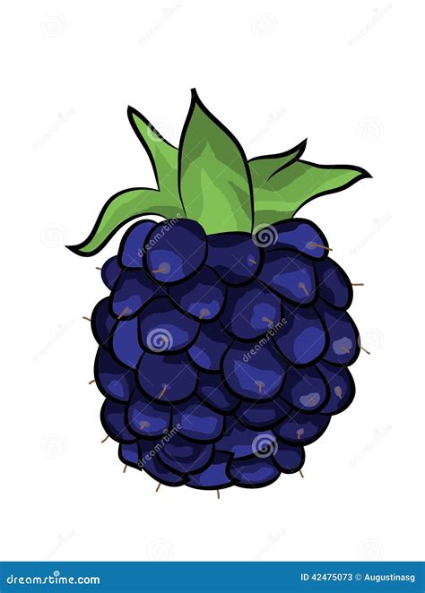 Blackberry Fruit Cartoon Illustration Stock Illustration - Image: 42475073