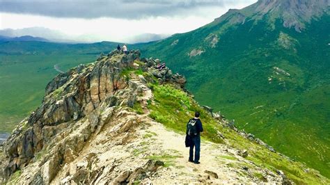 How to Hike and Tour Denali National Park, Alaska | Travoodie Destinations™