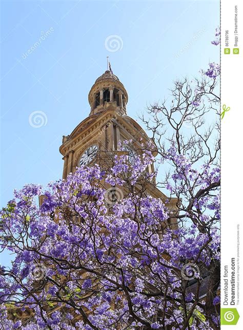 Clock Tower at Central Station in Sydney, Australia Stock Photo - Image of traditional, tourism ...