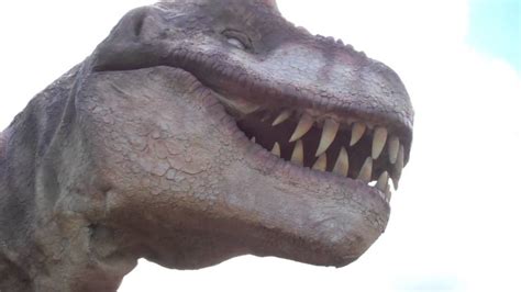 T-Rex Dinosaur Showing Teeth-Facing T-Rex Close Up-Carnivore Dino - YouTube