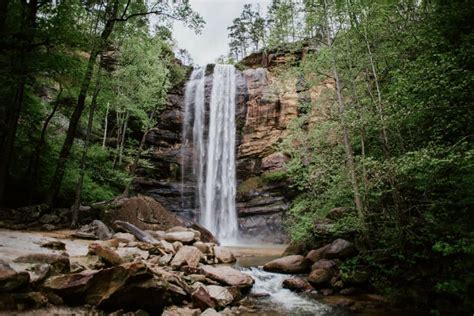 Toccoa Falls College – Colleges of Distinction: Profile, Highlights, and Statistics