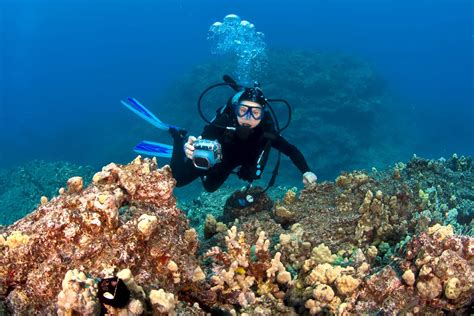 What are the Benefits of Diving?