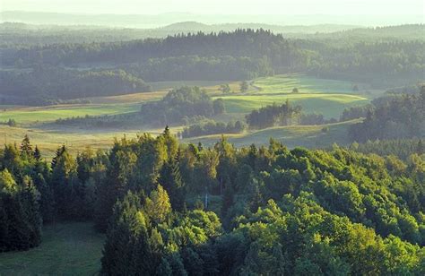 Latvia's forest landscape | Latvia ( SVEIKS ) | Pinterest | Landscaping, Riga latvia and ...