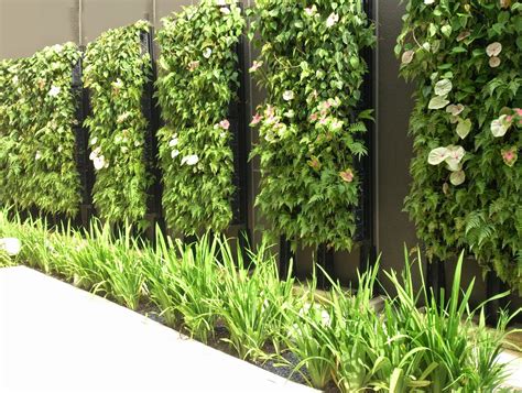 Vertical Garden System for internal and external walls of Commercial ...