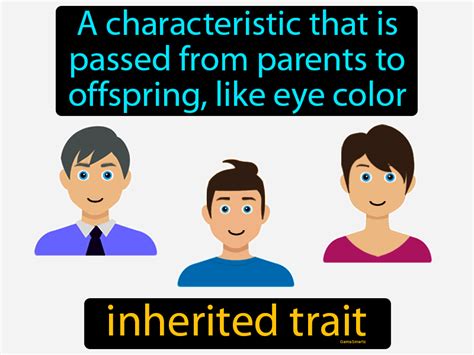 Inherited Trait Definition & Image | GameSmartz