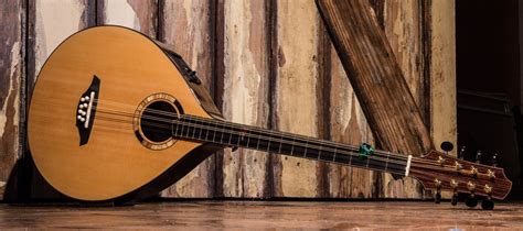 Port Orford cedar/East Indian rosewood Irish bouzouki | Guitar, Irish, Violin lessons