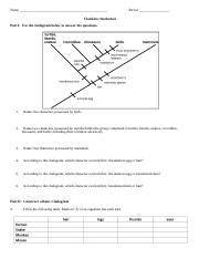 Cladistics Worksheet.docx - Name Period Cladistics Worksheet Part I: Use the cladogram below to ...