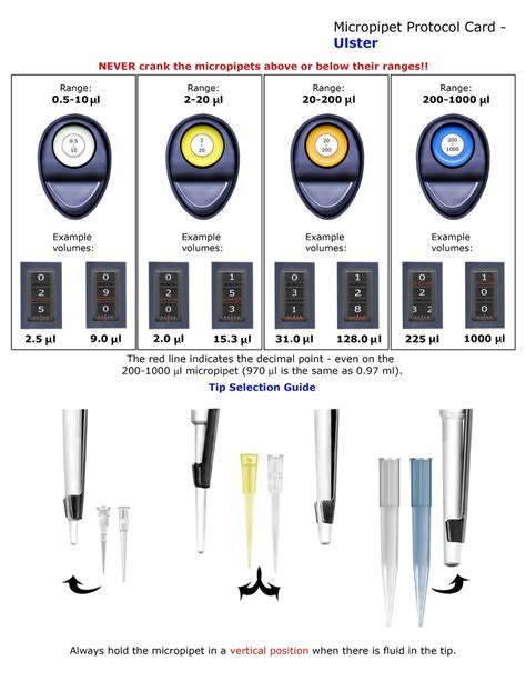 How To Use A Micropipette Video