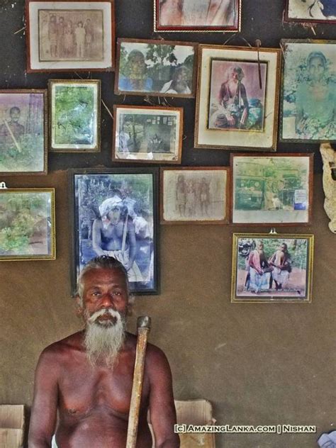 Dambana Vaddah Village | AmazingLanka.com