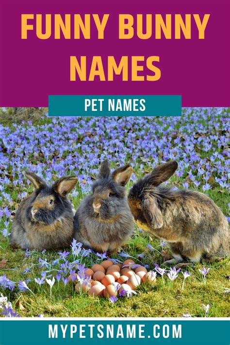 Funny bunny names – Artofit