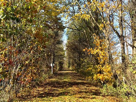 Van Buren Trail State Park | Michigan