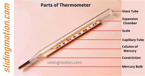 Complete guide on essential thermometer parts: names & diagram