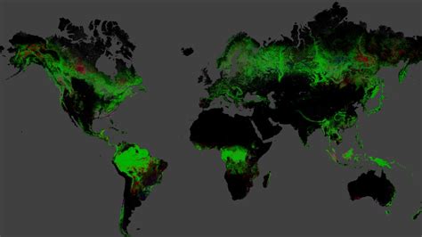 Interactive map shows alarming forest loss in Canada, worldwide | CTV News