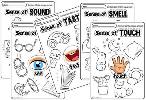 Free Five Senses Worksheets. TeachersMag.com