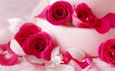 Pink roses on Valentine — Картинки и Рисунки