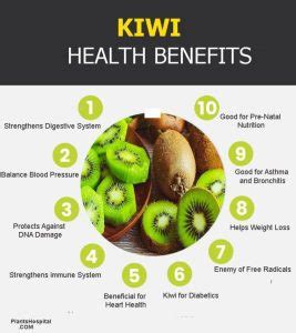 What Are Health Benefits Of Kiwi? Can You Eat Kiwi Skin? What is Kiwi?