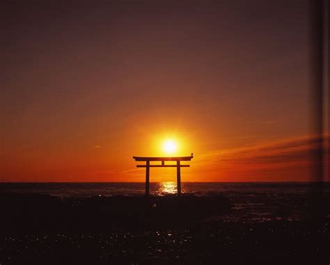 Bird in Sunrise (Lake biwa-Japan) : r/pics