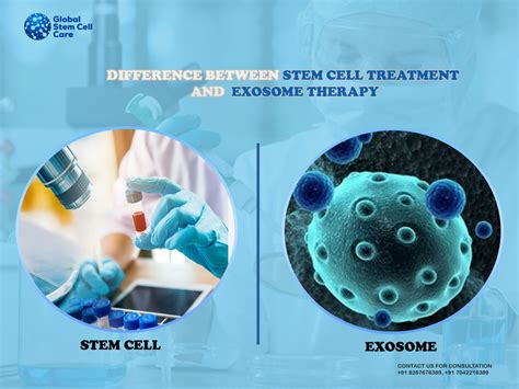 Difference Between Stem Cell Treatment and Exosome Therapy