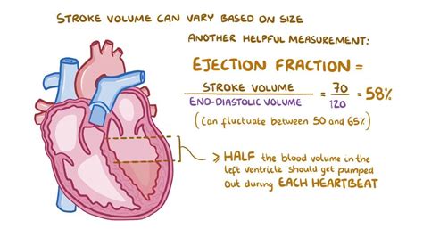 Increase Cardiac Output