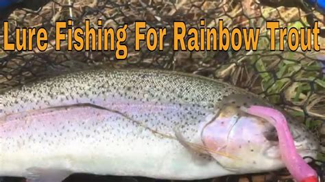 Lure fishing for Rainbow Trout - YouTube