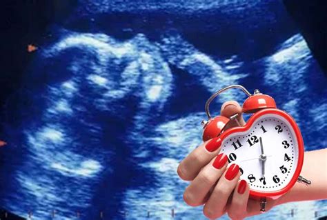 Women’s biological clock : chromosome errors influence fertility ...