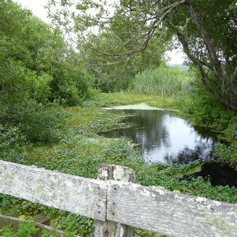 HUMBOLDT BAY NATIONAL WILDLIFE REFUGE COMPLEX (Loleta): Ce qu'il faut ...