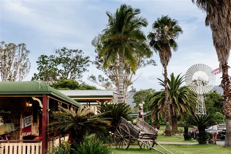 Bearded Dragon Hotel - Scenic Rim