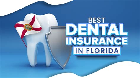 Best Dental Insurance in Florida 2024: Top Companies Offering ...