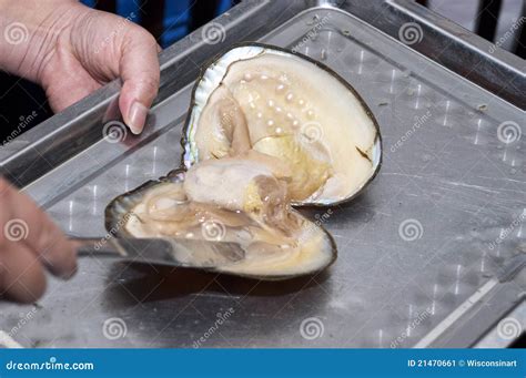 Harvesting Fresh Water Pearls from a Mussel Stock Image - Image of opening, shell: 21470661