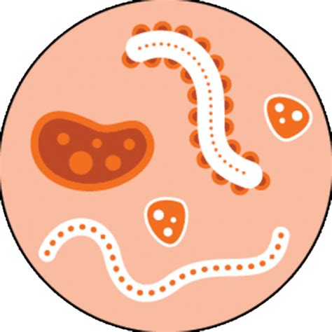 Syphilis: Signs and Symptoms